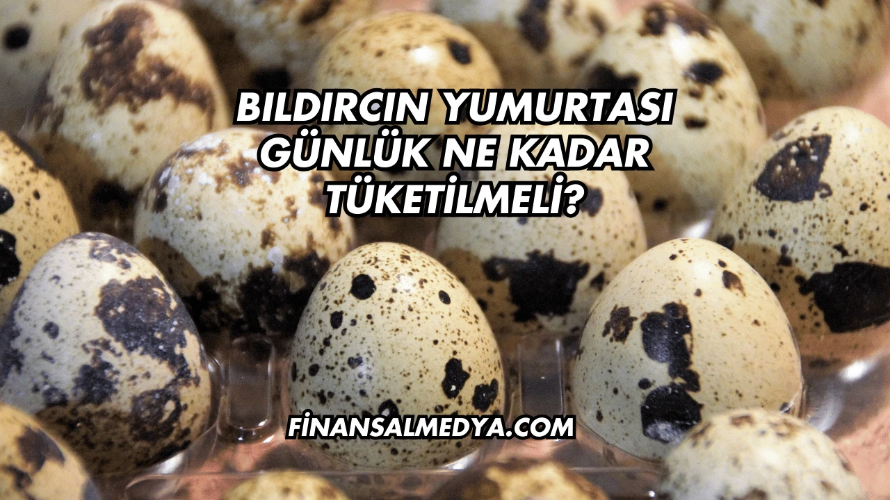 Bıldırcın Yumurtası Günlük Ne Kadar Tüketilmeli?