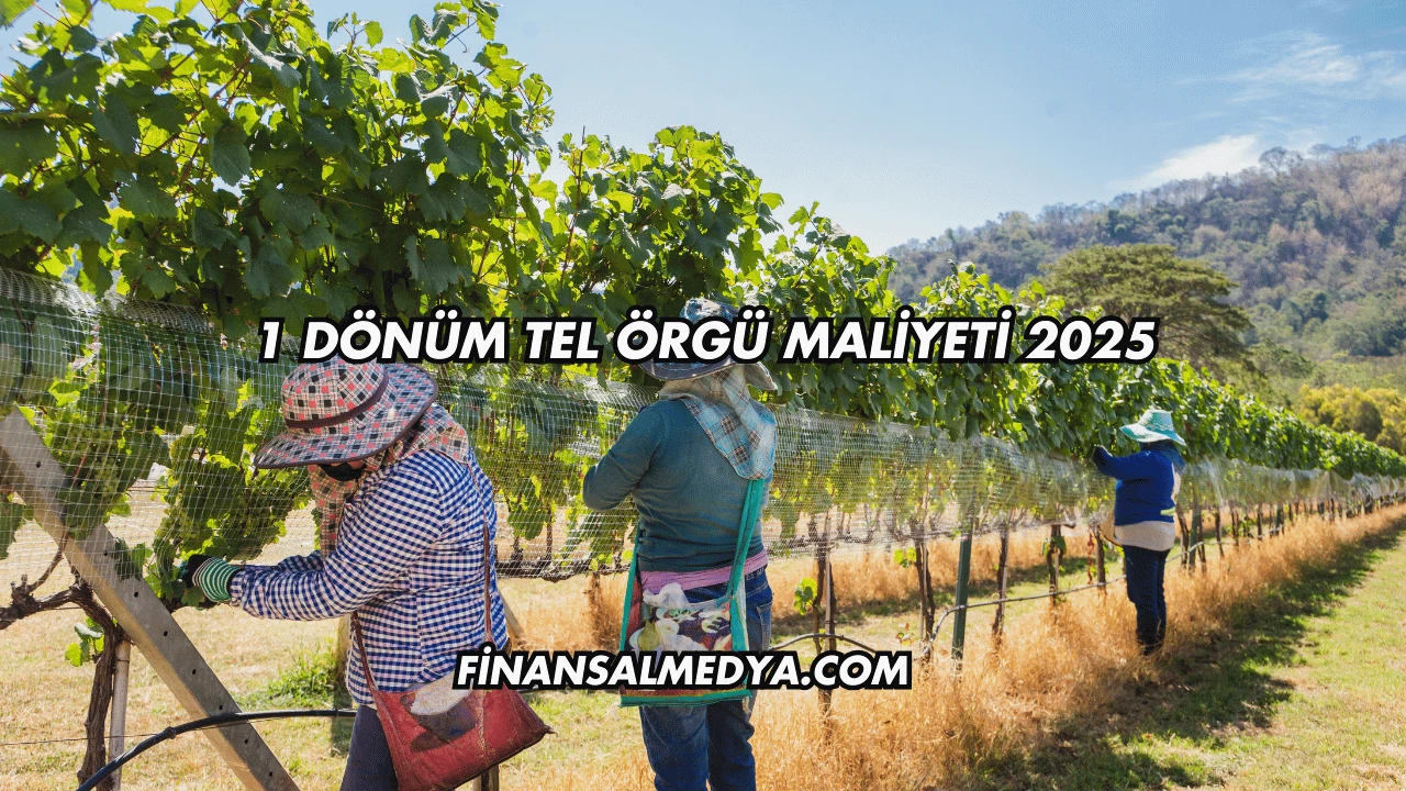 1 Dönüm Tel Örgü Maliyeti 2025