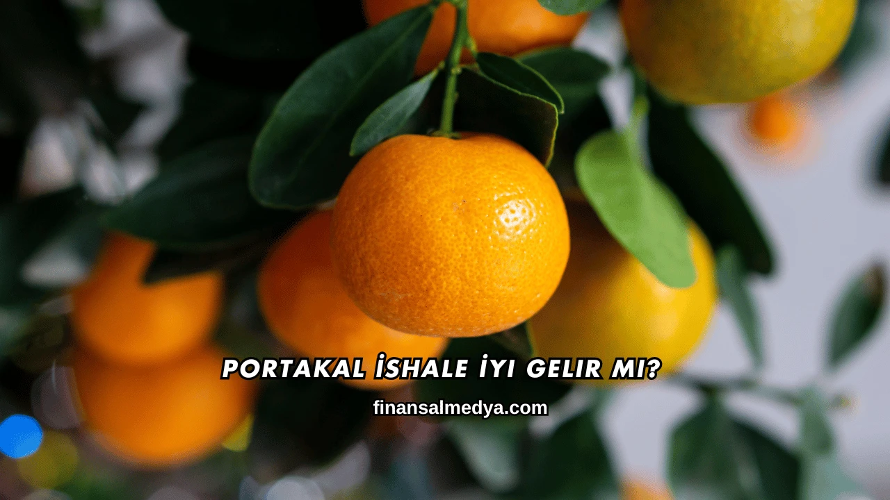 Portakal İshale İyi Gelir mi?