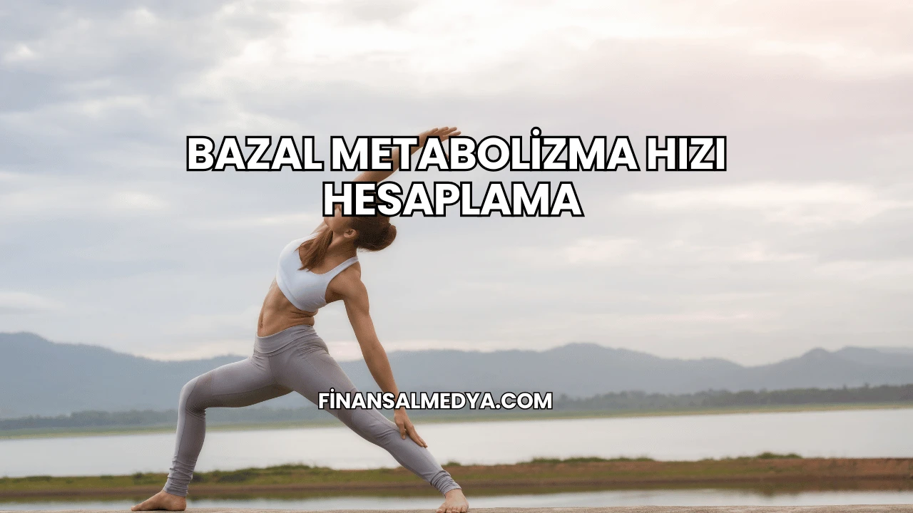 Bazal Metabolizma Hızı Hesaplama