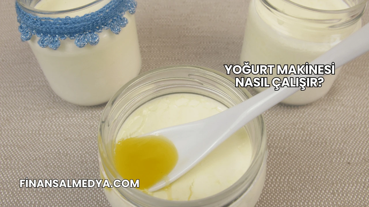 Yoğurt Makinesi Nasıl Çalışır?