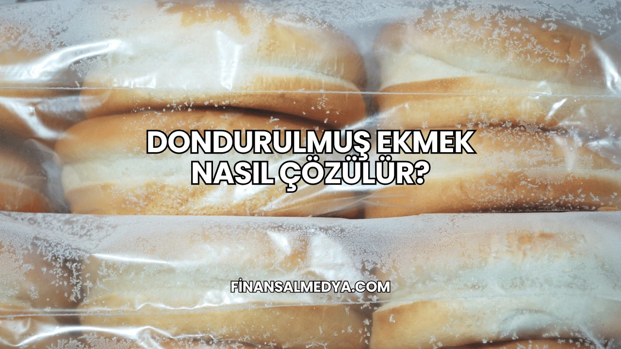 Dondurulmuş Ekmek Nasıl Çözülür?