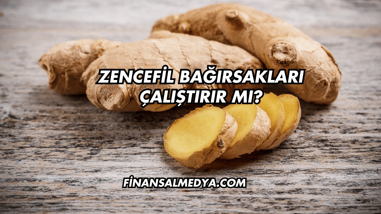 Zencefil Bağırsakları Çalıştırır mı?