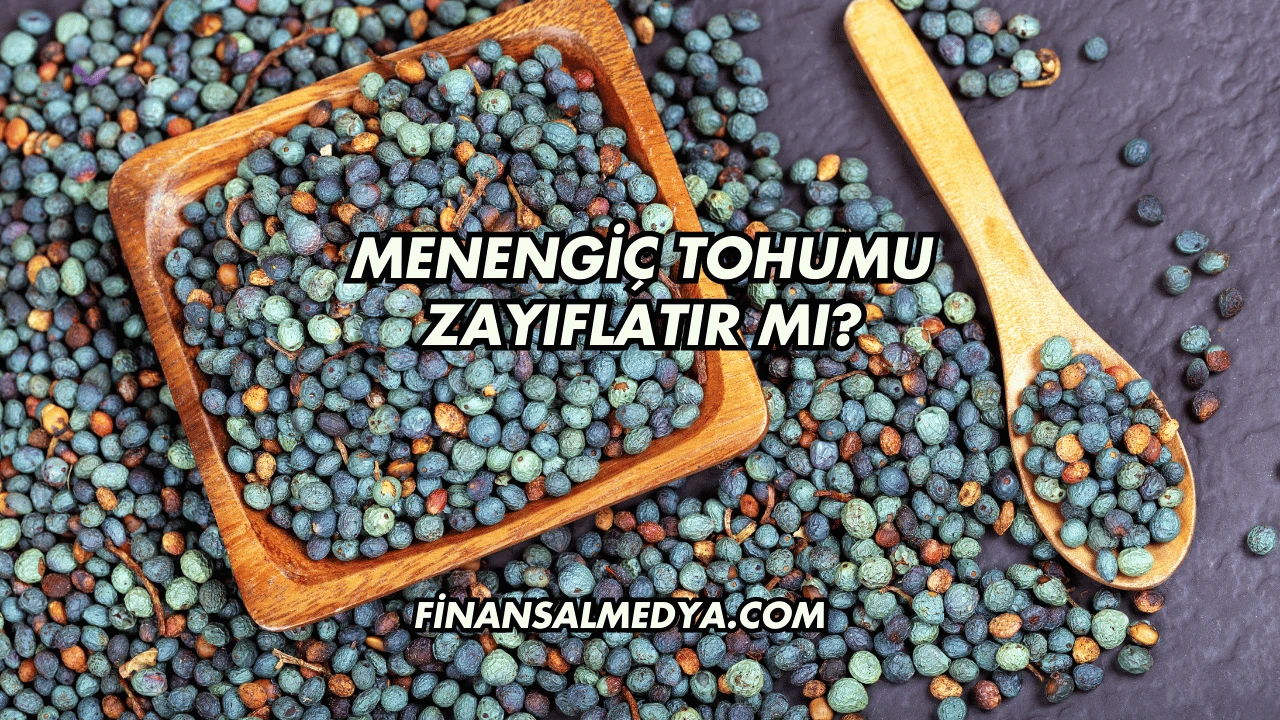 Menengiç Tohumu Zayıflatır mı?