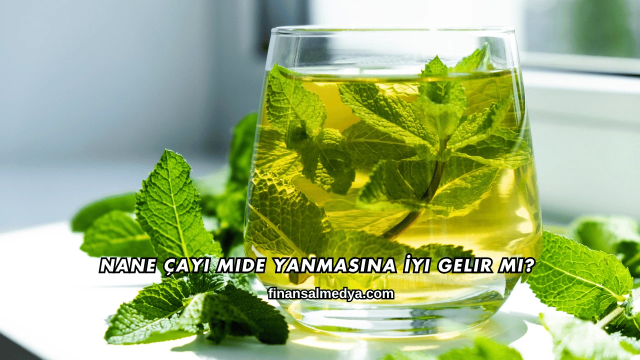 Nane Çayı Mide Yanmasına İyi Gelir mi?