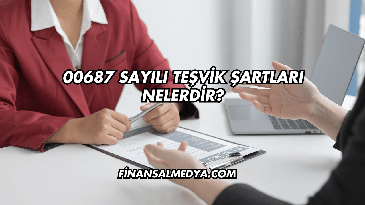 00687 Sayılı Teşvik Şartları Nelerdir?