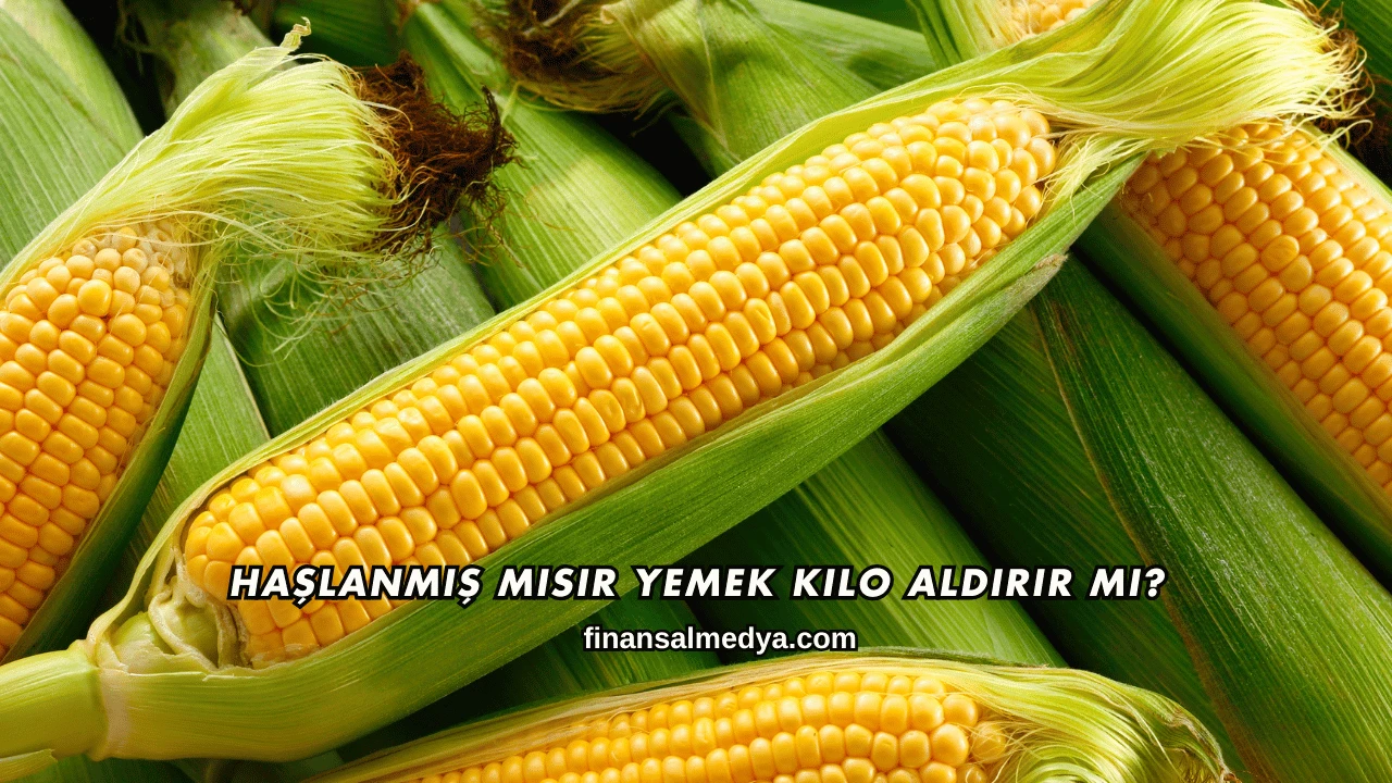 Haşlanmış Mısır Yemek Kilo Aldırır mı?