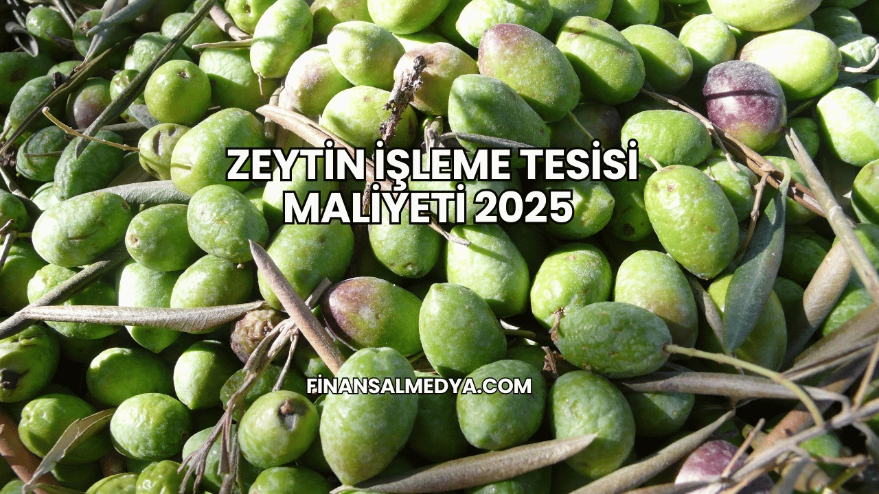 Zeytin İşleme Tesisi Maliyeti 2025