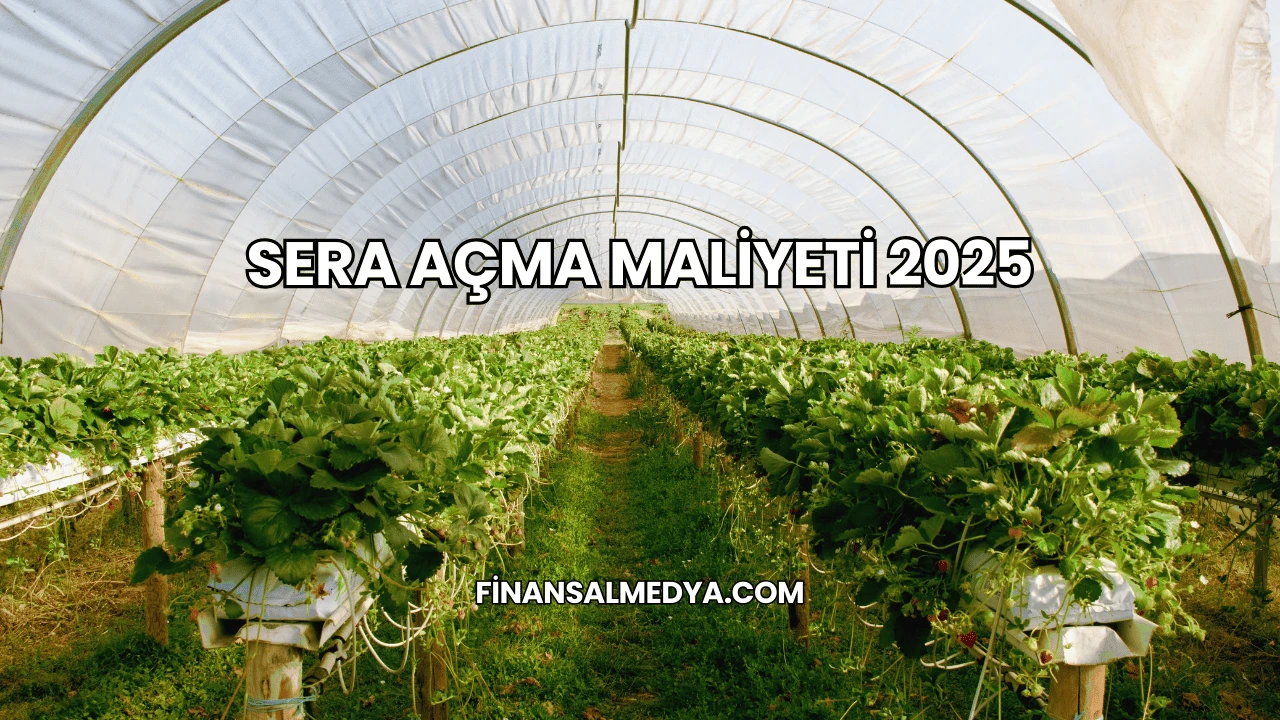 Sera Açma Maliyeti 2025