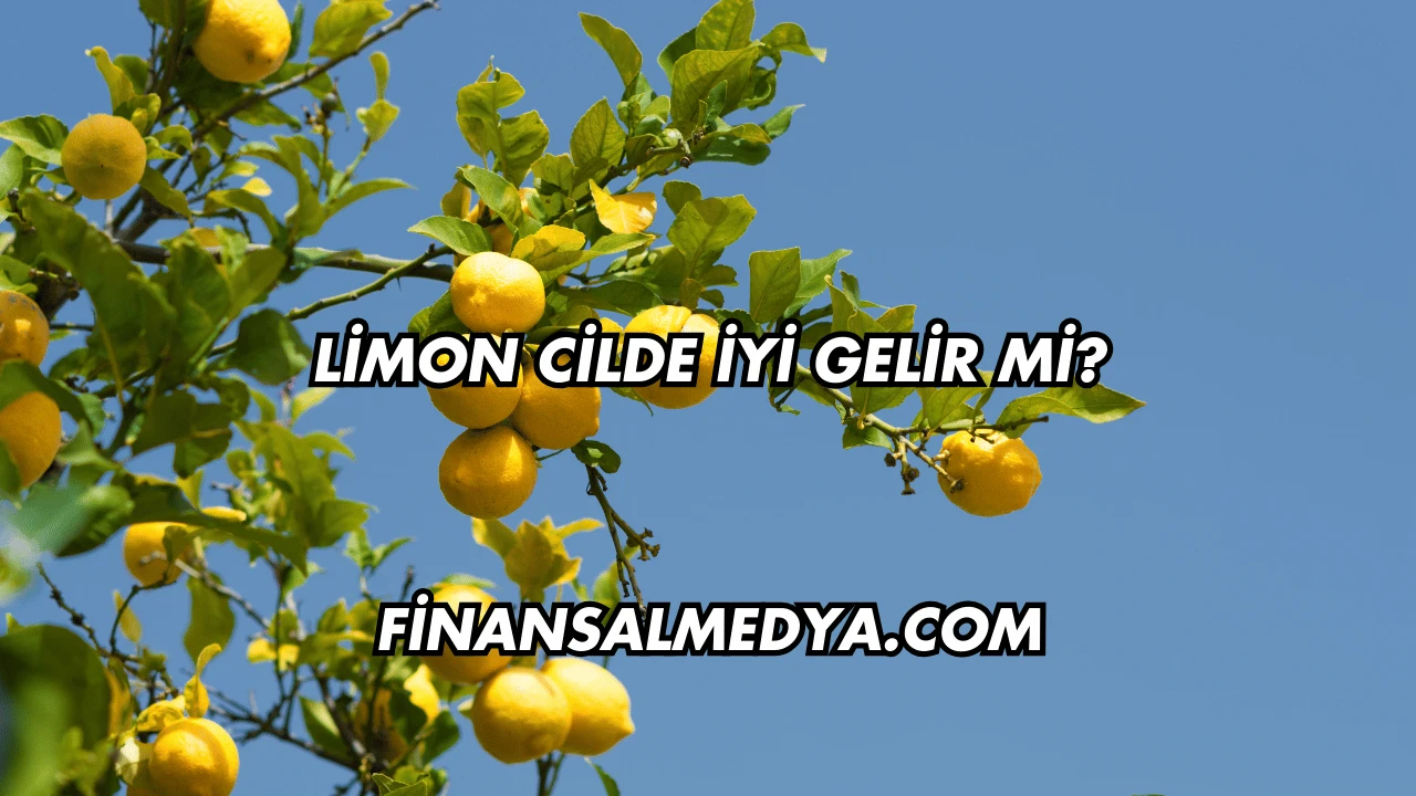 Limon Cilde İyi Gelir mi?