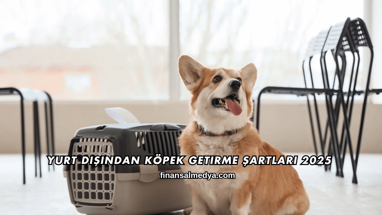 Yurt Dışından Köpek Getirme Şartları 2025