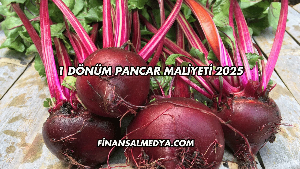 1 Dönüm Pancar Maliyeti 2025