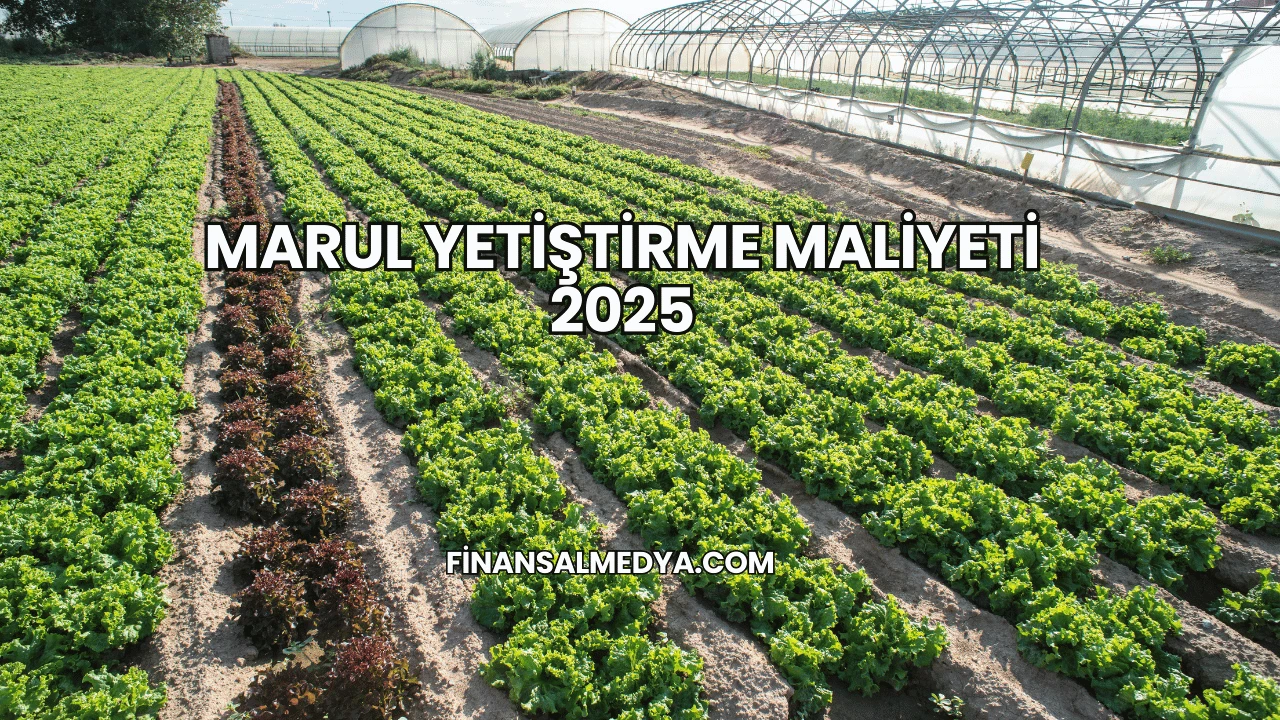 Marul Yetiştirme Maliyeti 2025