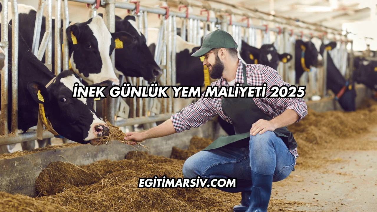 İnek Günlük Yem Maliyeti 2025
