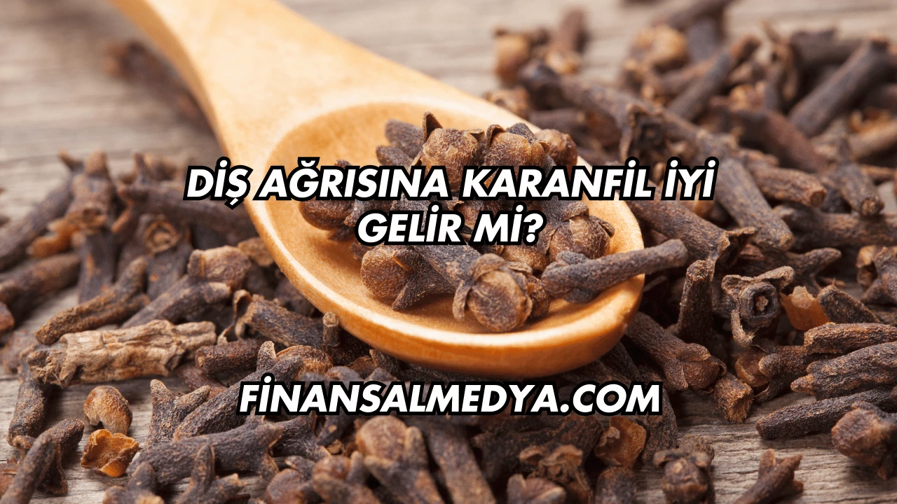 Diş Ağrısına Karanfil İyi Gelir mi?