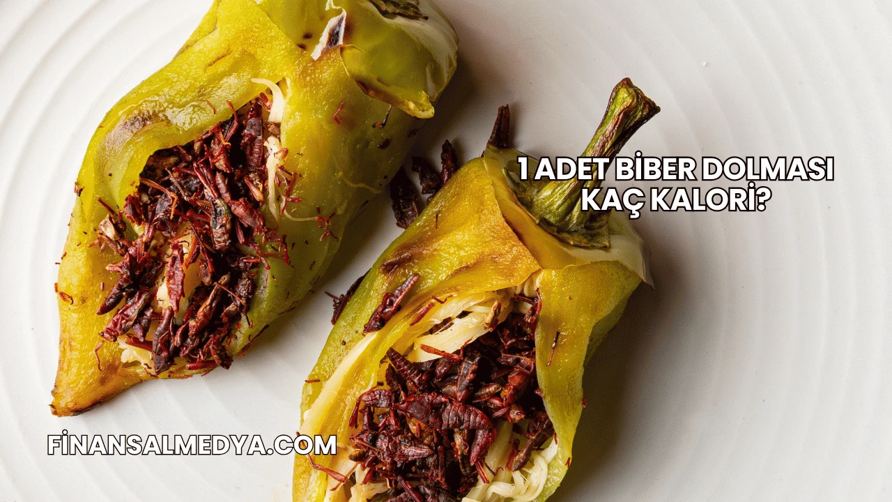 1 Adet Biber Dolması Kaç Kalori?