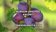 Mürdüm Eriği Kaç Kalori?