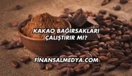 Kakao Bağırsakları Çalıştırır mı?