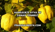 Hamilelikte Ayva Ne Zaman Yenmeli?