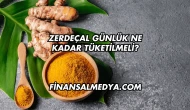 Zerdeçal Günlük Ne Kadar Tüketilmeli?