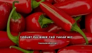 Yoğurt Pul Biber Yağ Yakar mı?