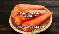 Havuç Ne Zaman Yenmeli?