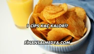 1 Cips Kaç Kalori?