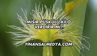Mısır Püskülü Kilo Verdirir mi?
