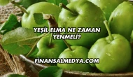 Yeşil Elma Ne Zaman Yenmeli?