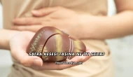Safra Kesesi Taşına Ne İyi Gelir?