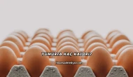 Yumurta Kaç Kalori?