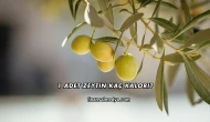 1 Adet Zeytin Kaç Kalori?