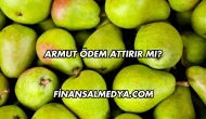 Armut Ödem Attırır mı?