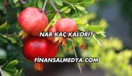 Nar Kaç Kalori?