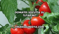 Domates Vücutta Su Tutar mı?