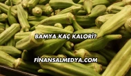 Bamya Kaç Kalori?