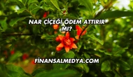Nar Çiçeği Ödem Attırır mı?