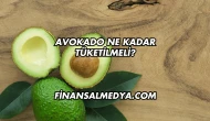 Avokado Ne Kadar Tüketilmeli?