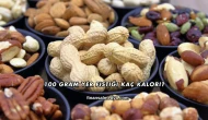 100 Gram Yer Fıstığı Kaç Kalori?