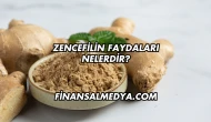 Zencefilin Faydaları Nelerdir?