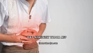 Gaz Şişkinlik Yapar mı?