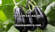 Patlıcan Kaç Kalori?