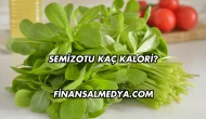Semizotu Kaç Kalori?