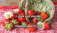 1 Çilek Kaç Kalori?