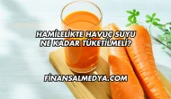 Hamilelikte Havuç Suyu Ne Kadar Tüketilmeli?