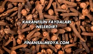Karanfilin Faydaları Nelerdir?