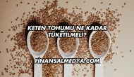 Keten Tohumu Ne Kadar Tüketilmeli?