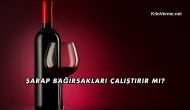 Şarap Bağırsakları Çalıştırır mı?