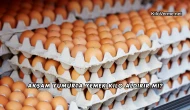 Akşam Yumurta Yemek Kilo Aldırır mı?