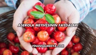 Aserola Meyvesinin Faydaları